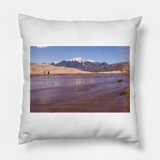 ali spring Pillow