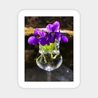 First Violets Magnet