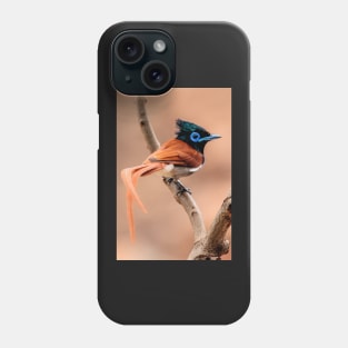 Paradise Flycatcher, South Africa Phone Case