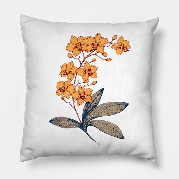 Mini orchids to your garden space Pillow by romulofq