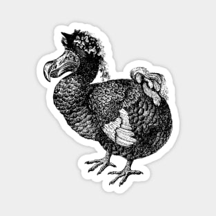 Mrs Dodo | Vintage Dodos | Magnet