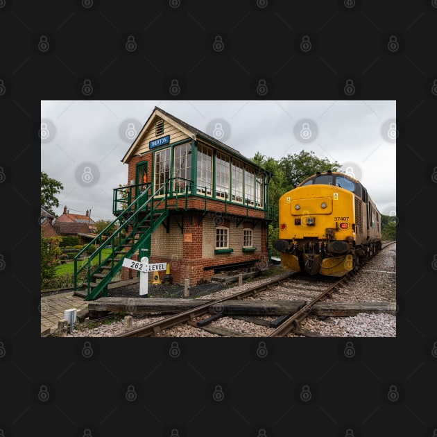 Class 37 407 at Thuxton by Robert john