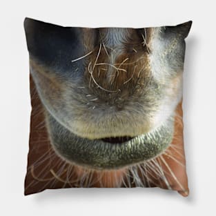 Horse Mouth Pillow