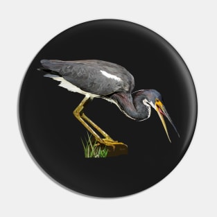 Tricolored Heron Pin