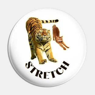 Stretch exercise by a tiger and a cat - black text Pin