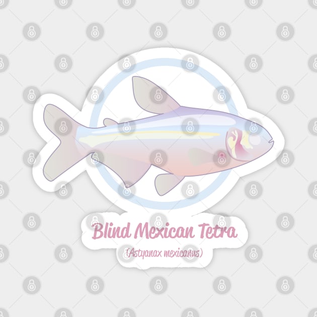Blind Mexican Tetra Magnet by Reefhorse