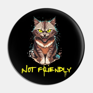 Not Friendly - funny angry  Cat Pin