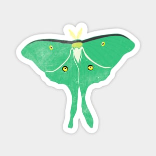 Luna Moth Magnet