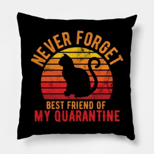 Funny Quarantine Quotes quarantine quotes Pillow