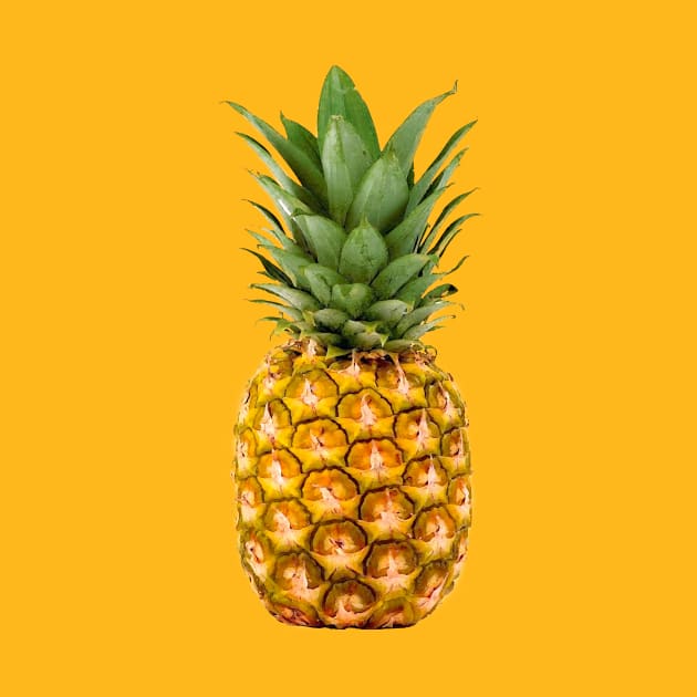 PINEAPPLE by Vin Zzep