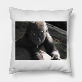 Baby Gorilla Pillow