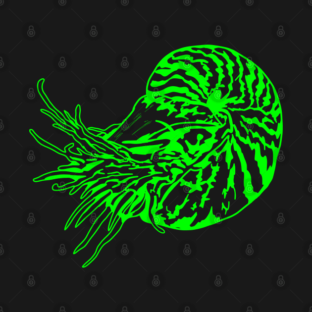 Neon nautilus by artbyluko