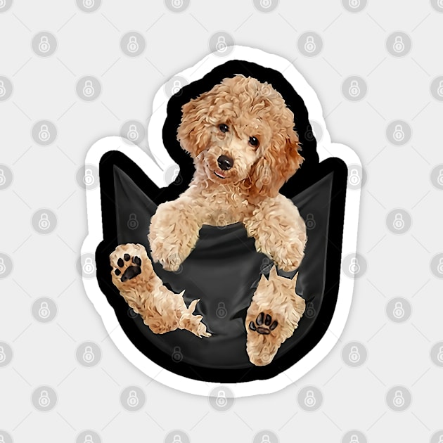 Poodle with love Magnet by designathome