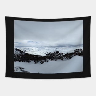 Snow on the mountains Tapestry