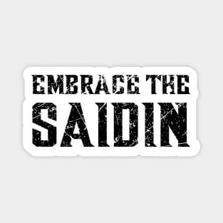 Embrace The Saidin Magnet