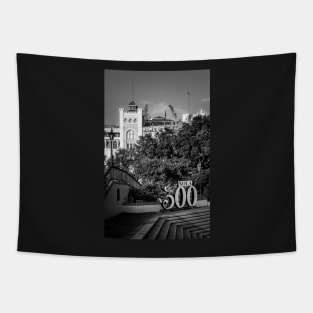 300 Years Of New Orleans In Black And White Tapestry