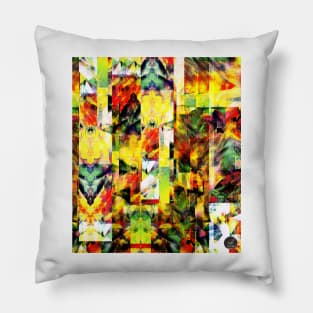 Abstract Patterns [Digital Illustration] Pillow