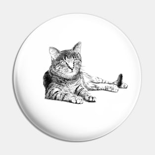 Katze Pin