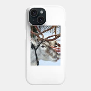 Lapland Phone Case