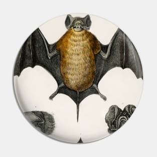 Vintage Bat Pin