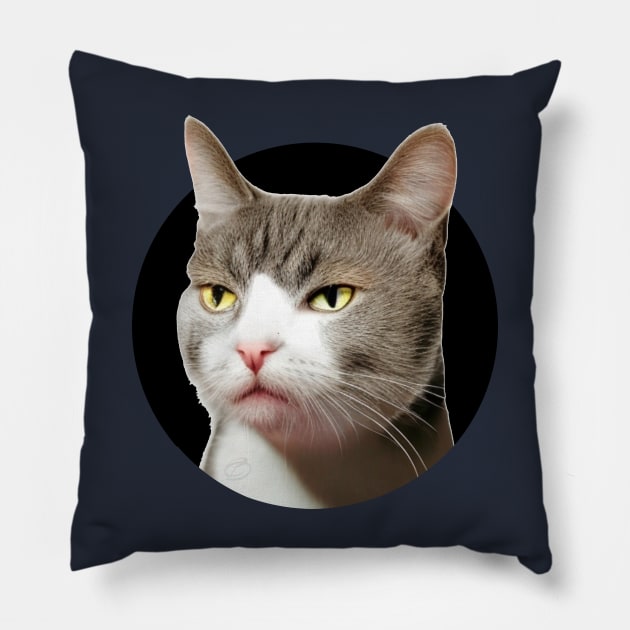 Sarcastic, indifferent cat...so, what? Pillow by Cavaleyn Designs