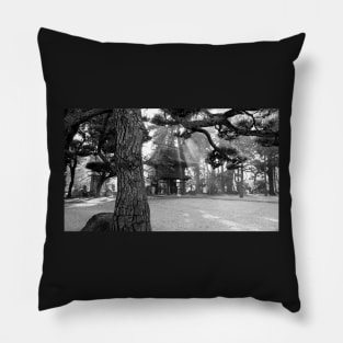 Rays of Sunlight on Japanese Temple Gate Pillow