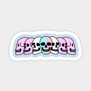 Pride Skulls Bigender Magnet