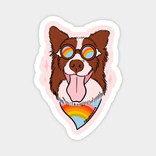 Rainbow Dog Magnet