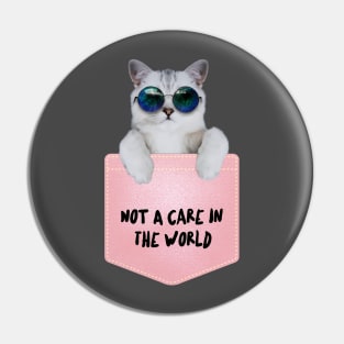 Not A Care In The World Pin