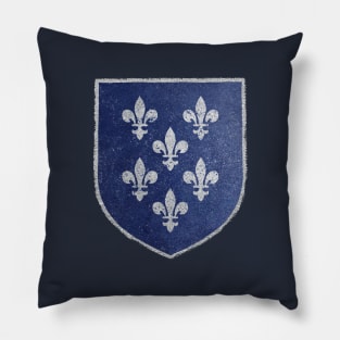 Coat of arms of Temeria | Medieval manuscript heraldry fan art inspired by The Wicher Pillow