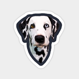 Dalmatian Dog Spotted Puppy Blue Orange eyes Magnet