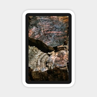 Petrified Forest Abstract Magnet