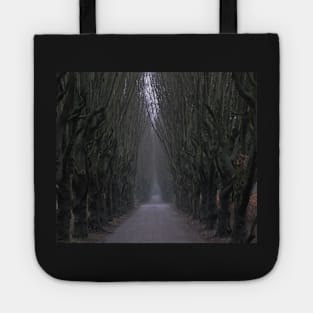 Gloomy path Tote