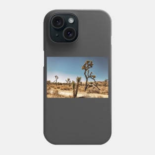 Joshua Tree National Park, California Phone Case