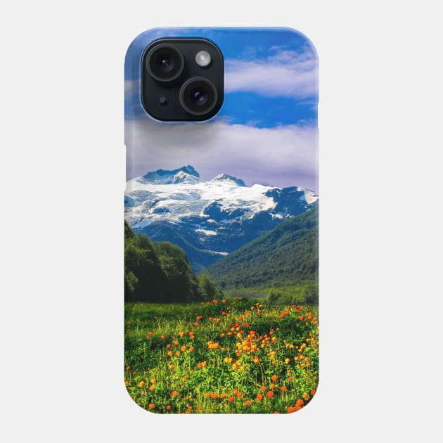 Flowers Bed on Mountains-Spring Phone Case by Haministic Harmony