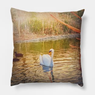 swan in golden light Pillow