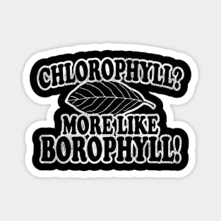 Chlorophyll? Vintage Magnet