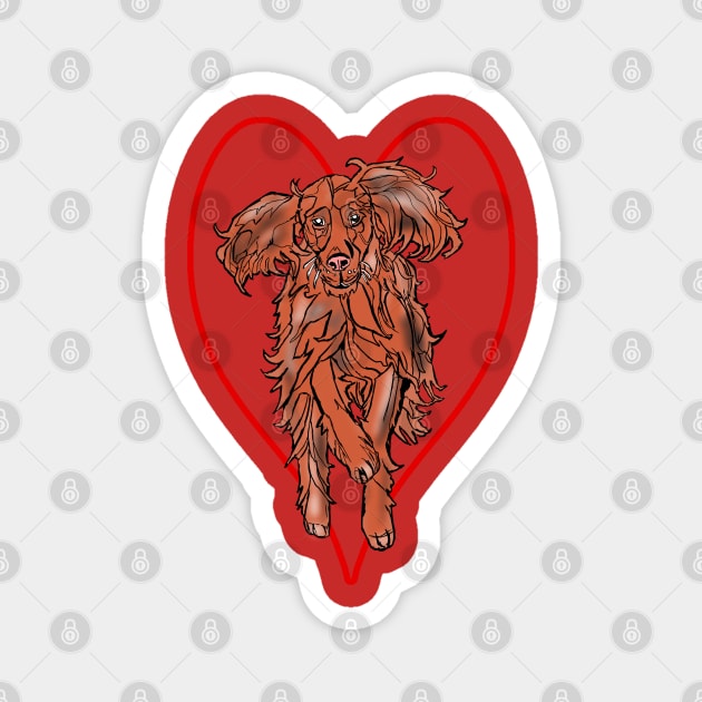 Irish Red Setter Magnet by Gearysworld 