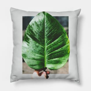 Rainforest Flora Pillow