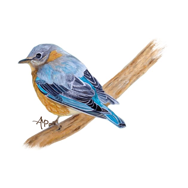 Little Bluebird by ampomata