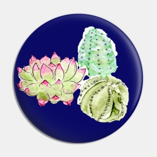 succulent trio Pin