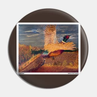 Gamebird Pheasant Pin