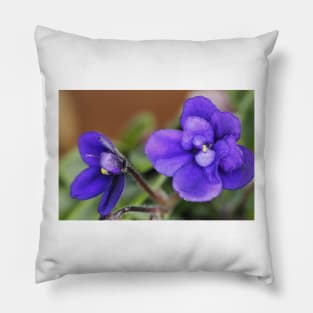 Miniature African Violet Pillow