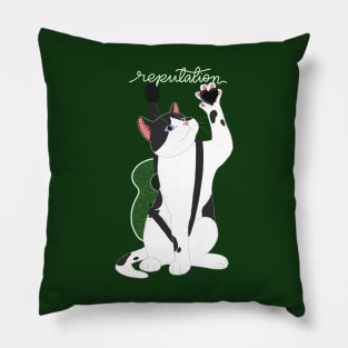 MUSICIAN REPUTATION CAT ERA Pillow