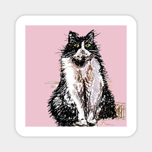 Tuxedo Cat Cute Drawing - on Pink Magnet