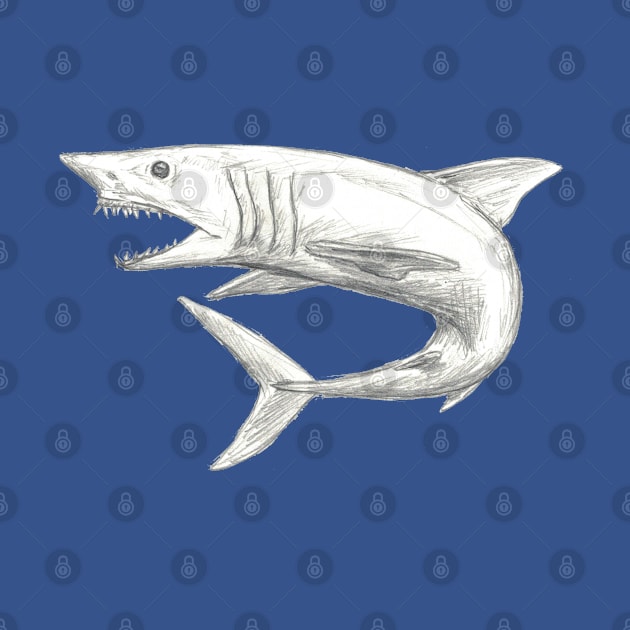 Mako Shark sketch by WorksofGrace