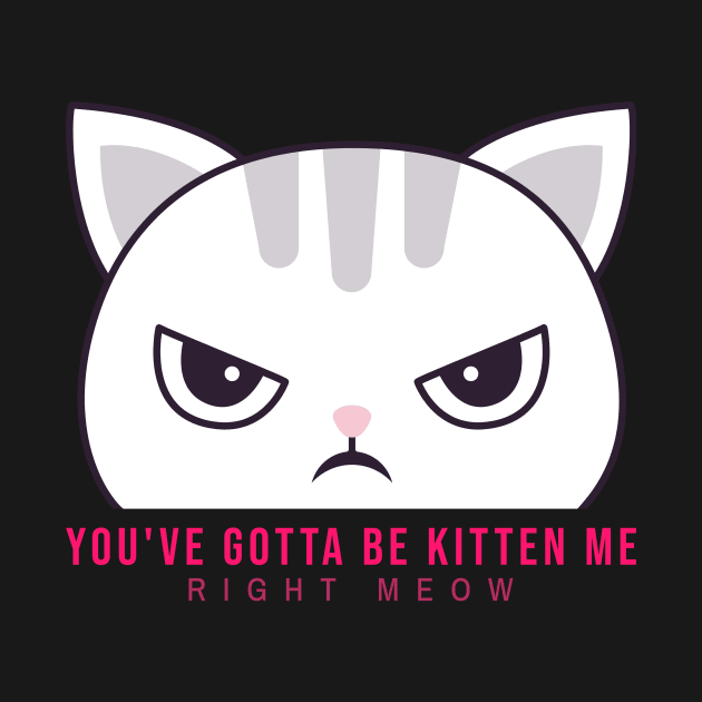 You've Gotta Be Kitten Me Right Meow Cat Pun by DC Bell Design