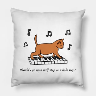 Music Theory Cat Pillow