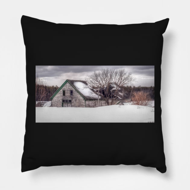 Winter Burden Pillow by BeanME