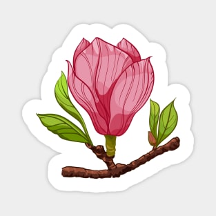 branch of pink magnolia Magnet